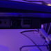 Asus 60hz Monitor