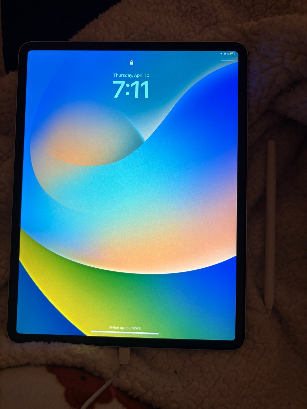 iPad Pro 12.9 inch 4th gen