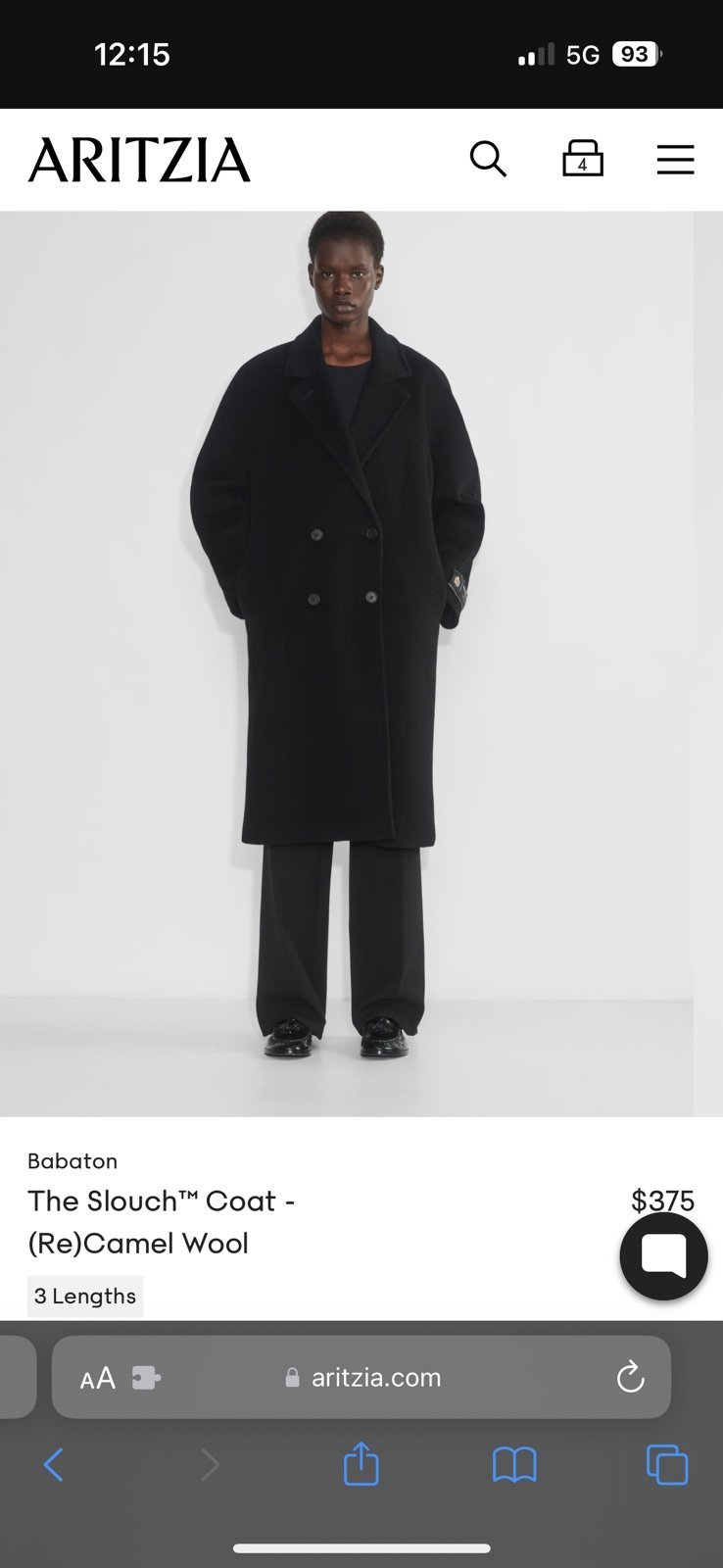 Aritzia Slouch Coat