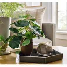 Threshold with Studio McGee Green Hexagon Ceramic Tray
