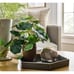 Threshold with Studio McGee Green Hexagon Ceramic Tray
