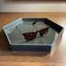 Threshold with Studio McGee Green Hexagon Ceramic Tray