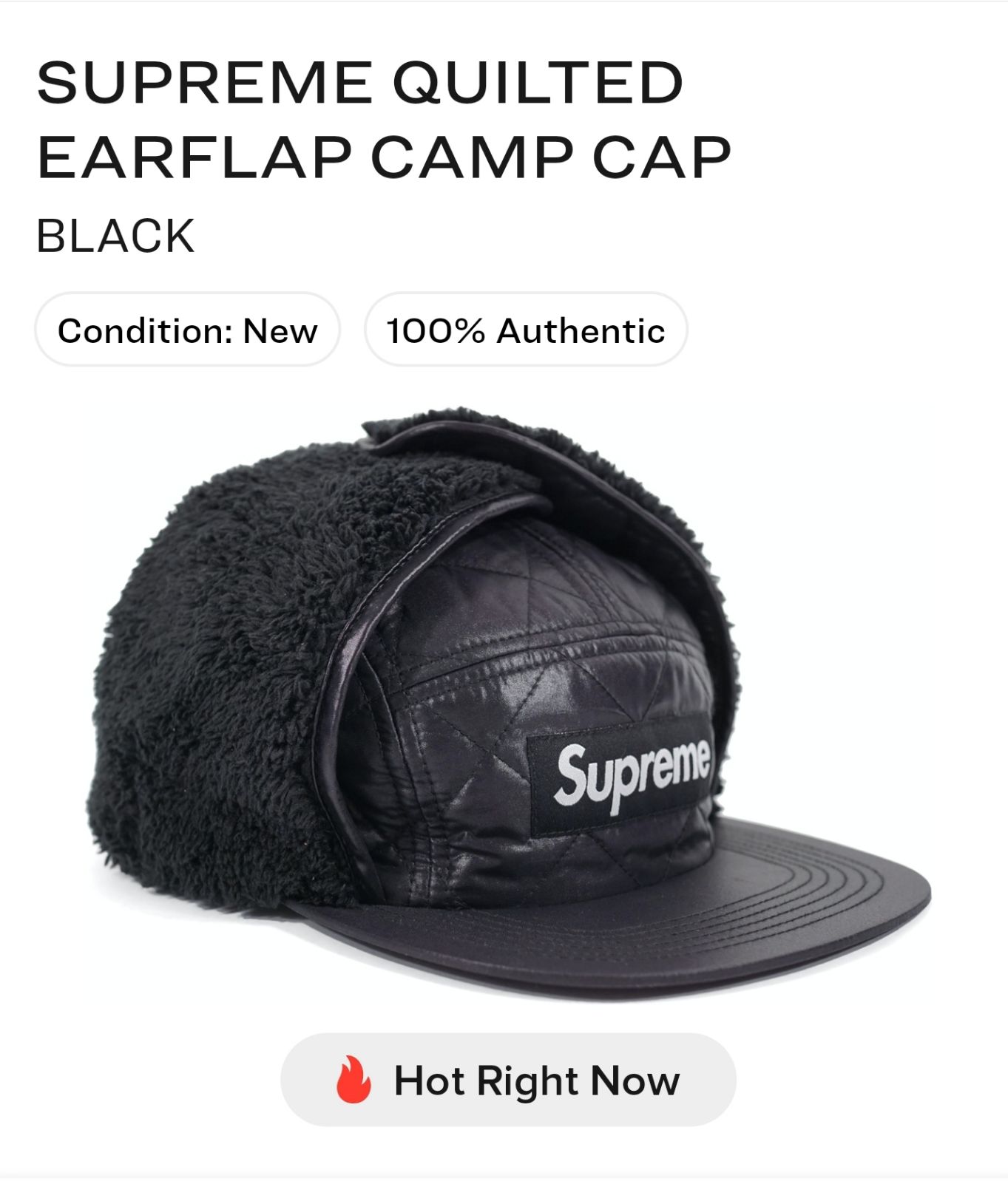 RARE 2016 Winter Supreme Bogo Flap Hat