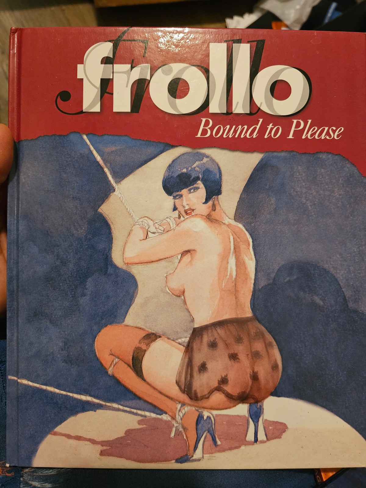 Bound to please by Leone Frollo
