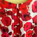 Sarah Campbell Poppy print sleevless A-line dress. Size 4. NWT.