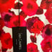 Sarah Campbell Poppy print sleevless A-line dress. Size 4. NWT.