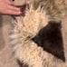 Fur bag