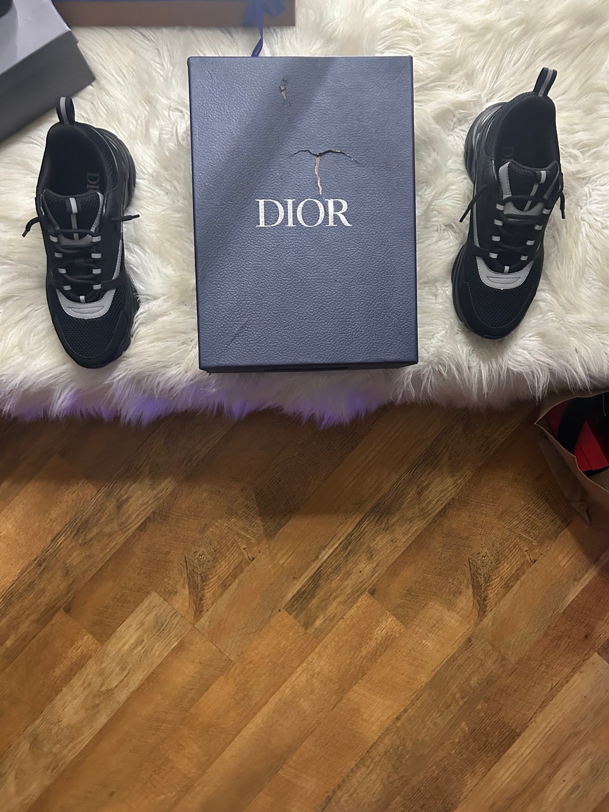 Dior b22
