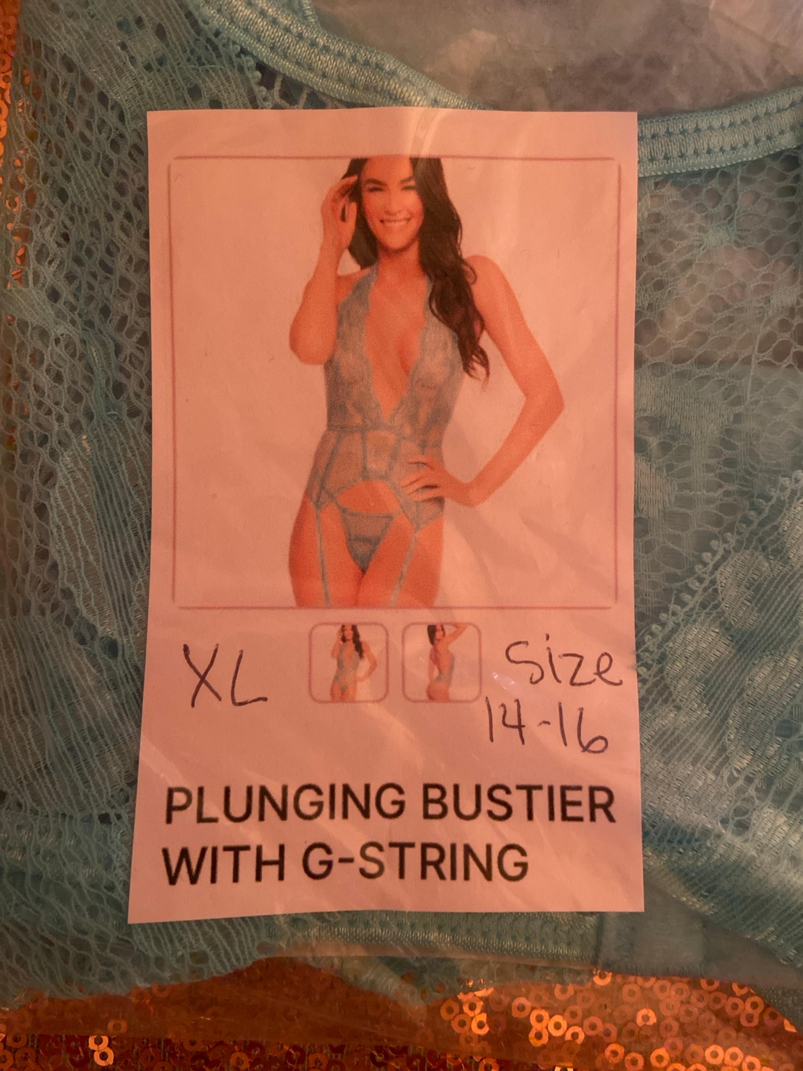 Pure Romance Lingerie XL
