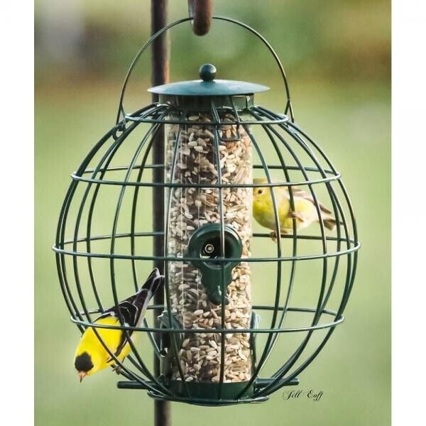 Bird Feeders Hanging Squirrel Proof Petite Orb Caged Seed Feeder Green