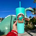 Disney Parks 2024 Hollywood Studios Dinosaur Gertie’s Ice Cream Tumbler