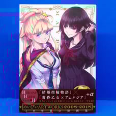 Tales of Wedding Rings & Dusk Maiden of Amnesia Artworks Anime Manga Art Book JP