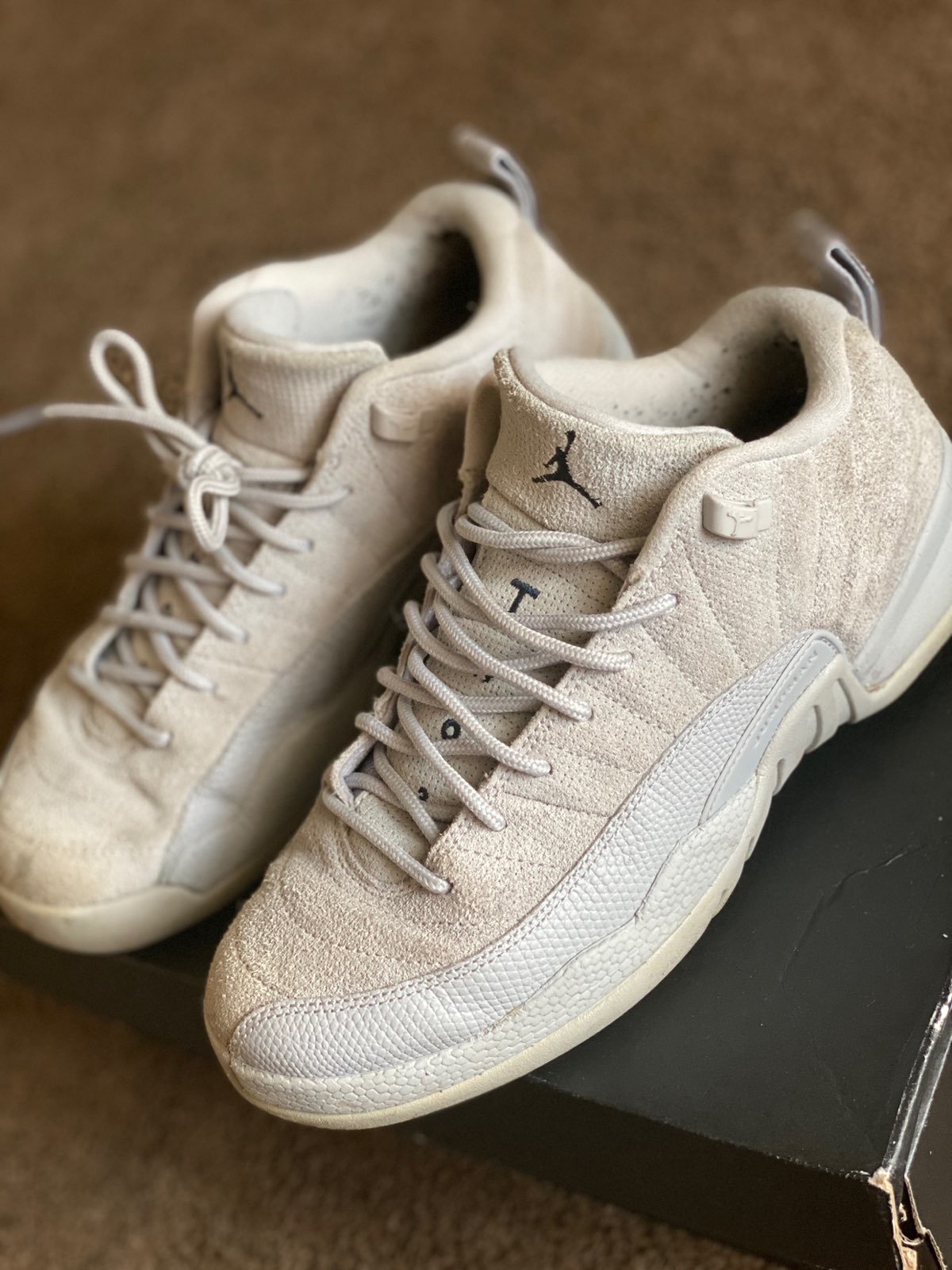 Air Jordan Wolf Grey 12s