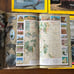 National Geographic 1970 Set Of 12 Issues Vintage