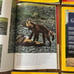 National Geographic 1970 Set Of 12 Issues Vintage