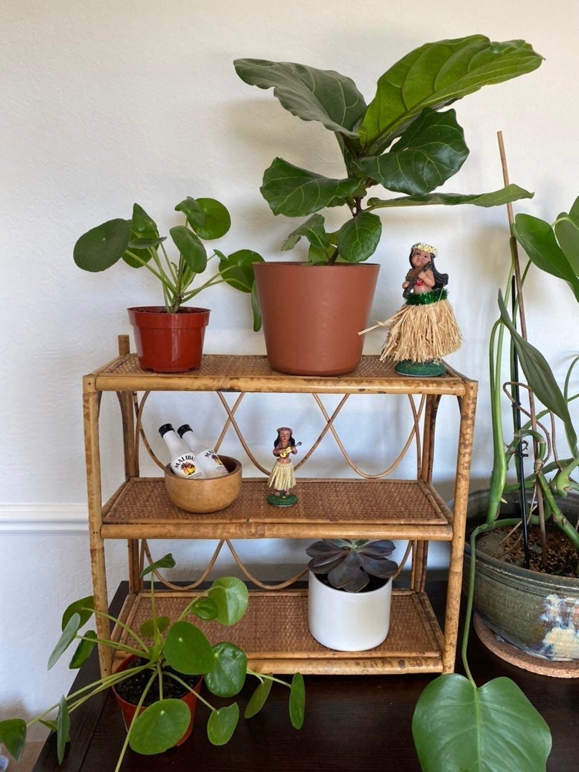 Vintage Rattan Peacock Bamboo Wicker Wall or Free Standing Shelf Bent Wood BOHO