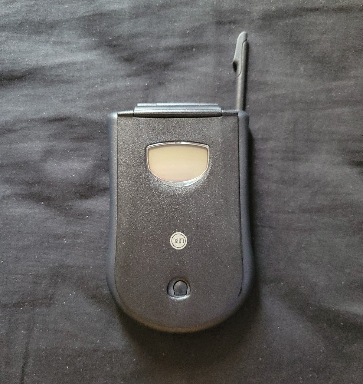 Palm Pilot m100