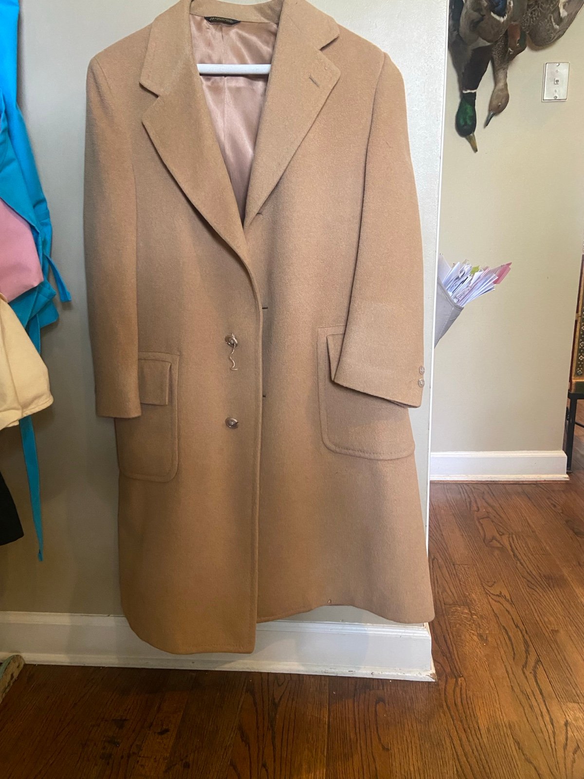 Camel hair coat