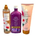 Bath and Body Works Hibiscus Paradise Set and Aromatherapy Aroma Oasis