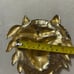 Gold lion Laloon vintage belt buckle