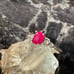 Emerald cut Genuine Ruby Silver Ring