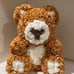 Rose Bear PE Foam Flower Teddy 16'' Bear : Gold +Showcase