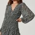 Astr Ruffle Chiffon Floral Dress