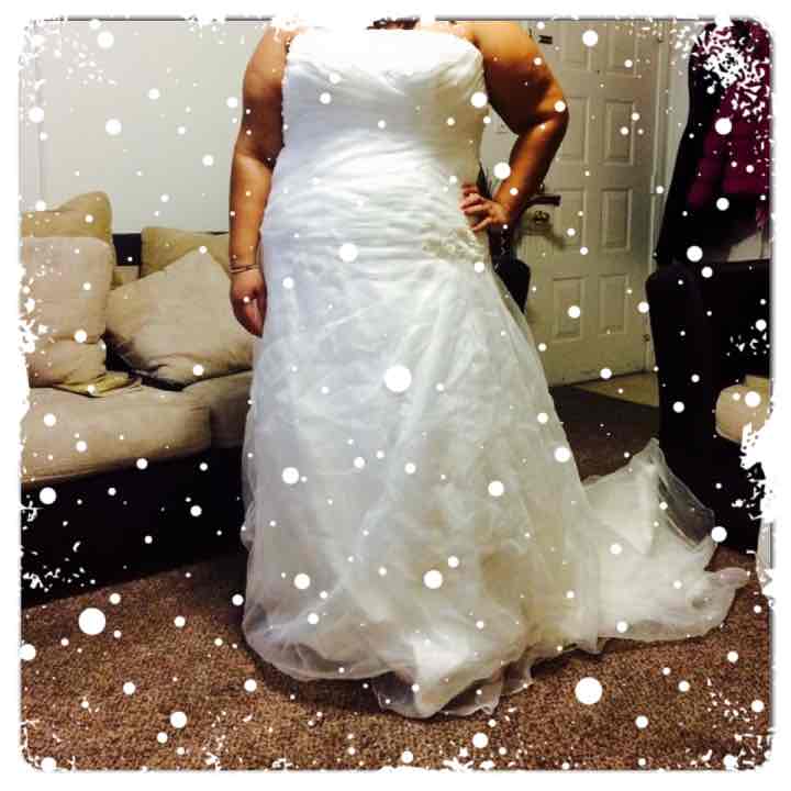 Wedding dress size 24