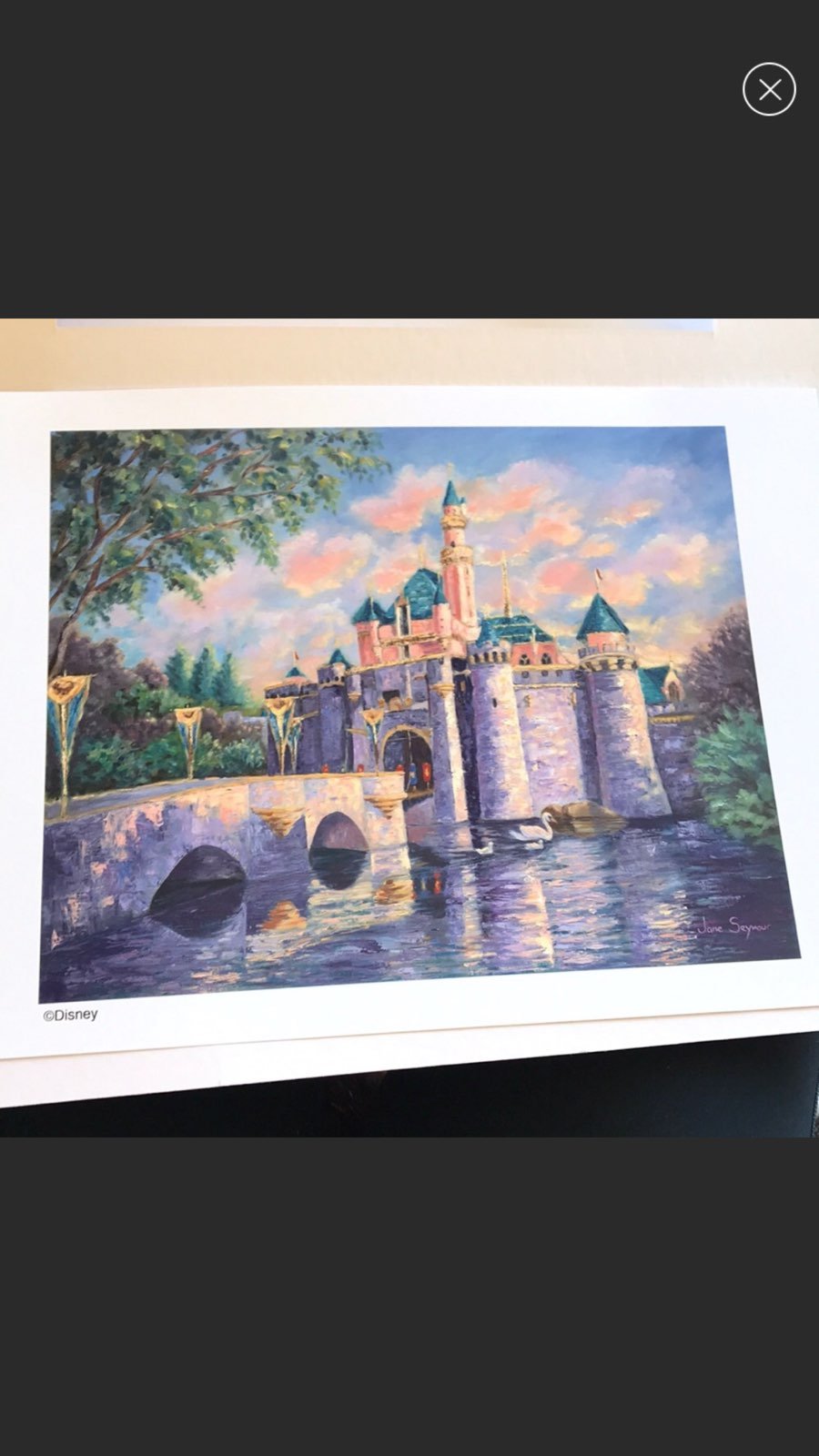 Disney Castle Painting