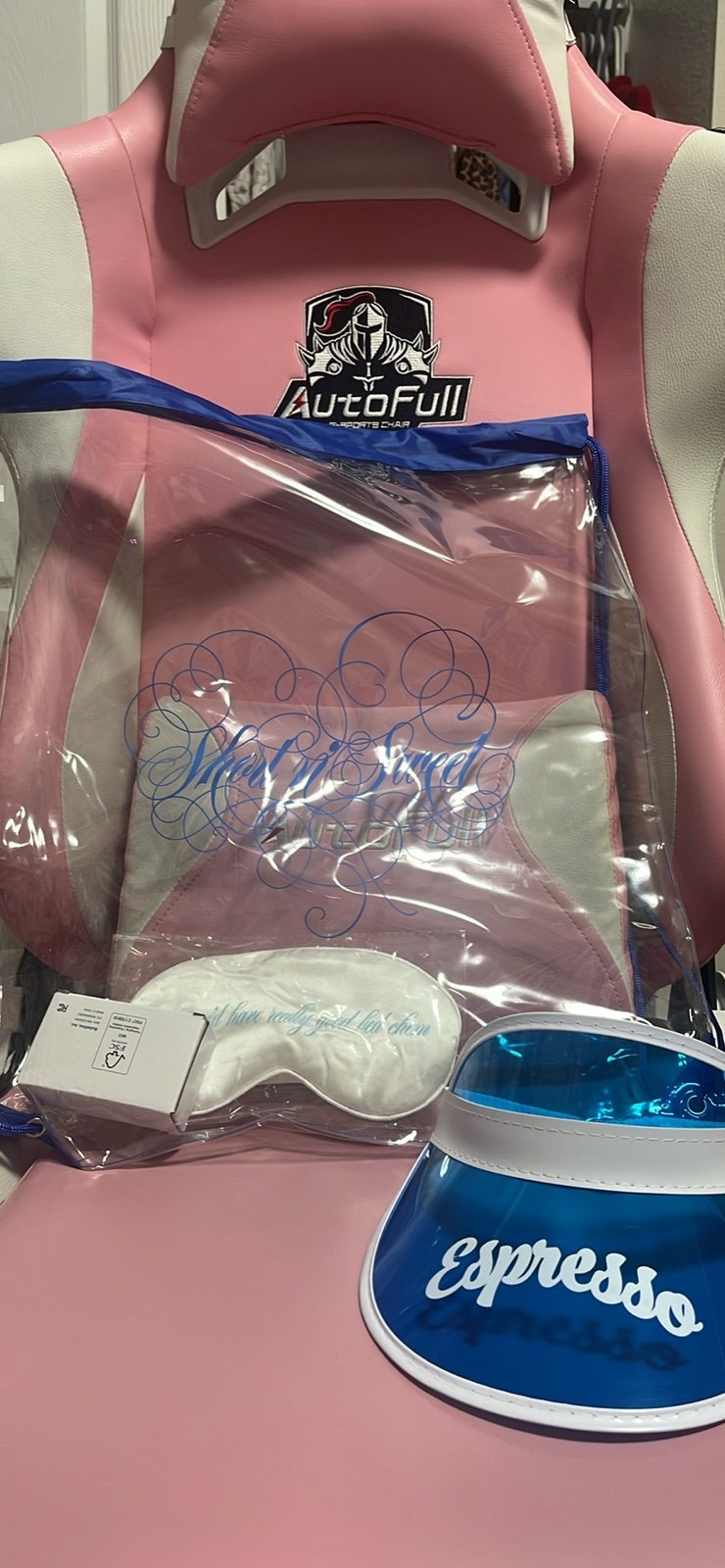 Sabrina Carpenter vip bag