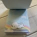 Dream World SPORTY SHANY Notepad
