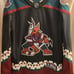 Arizona Coyotes
