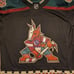 Arizona Coyotes