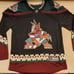 Arizona Coyotes