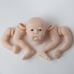 Reborn Pearl Awake KIT