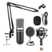 Professional Studio Recording Microphone