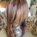 Brown Beauty Highlights Full Wig