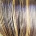 Brown Beauty Highlights Full Wig