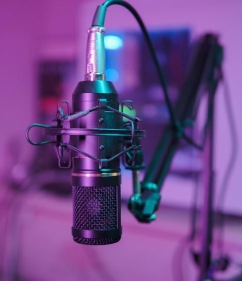Professional Studio Condenser Microphone