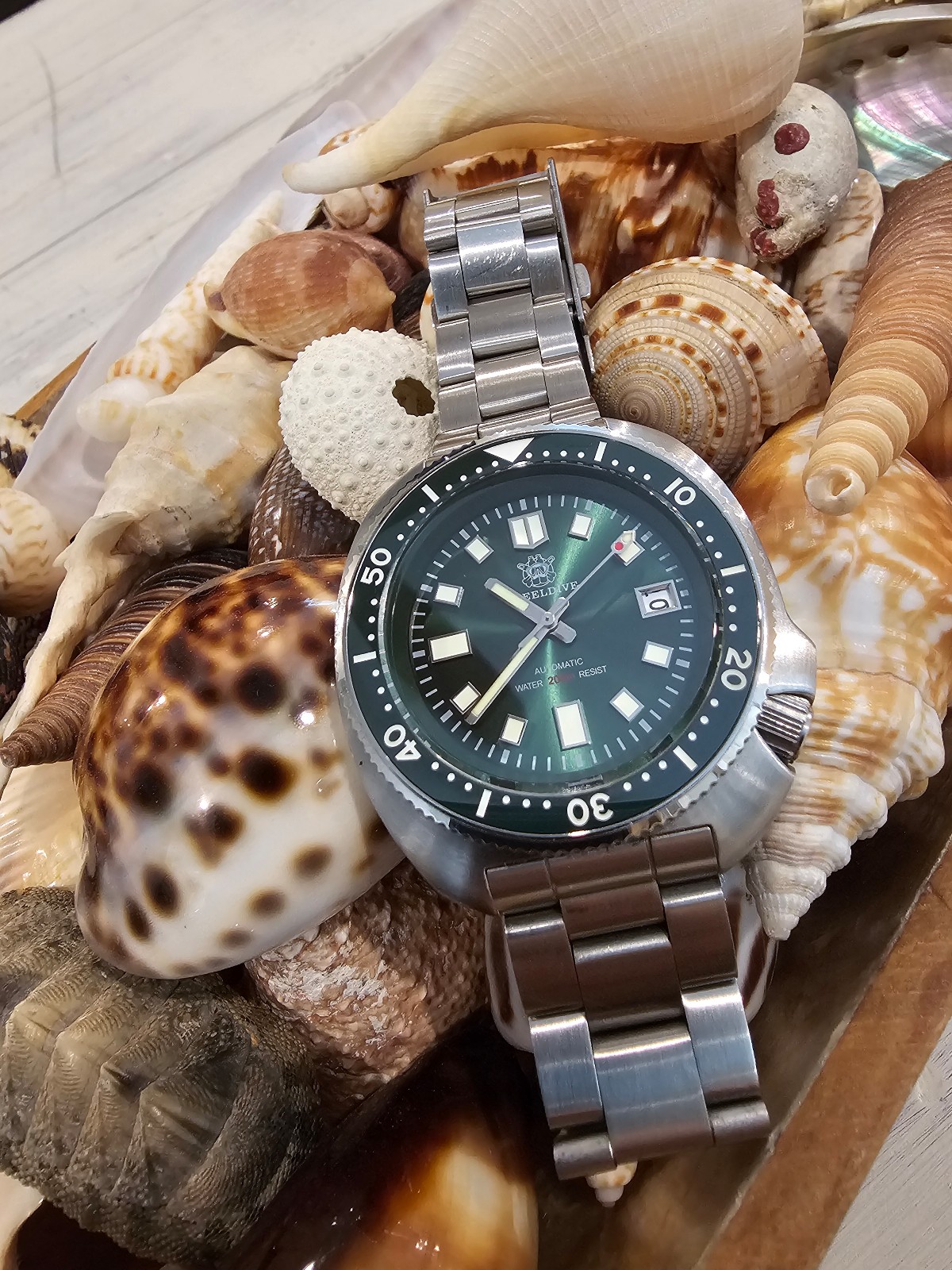 STEELDIVE SD1970 WILLARD GREEN SEIKO HOMAGE 200M AUTOMATIC DIVE WATCH