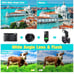 Lecran Digital Camera, WiFi Video Camera