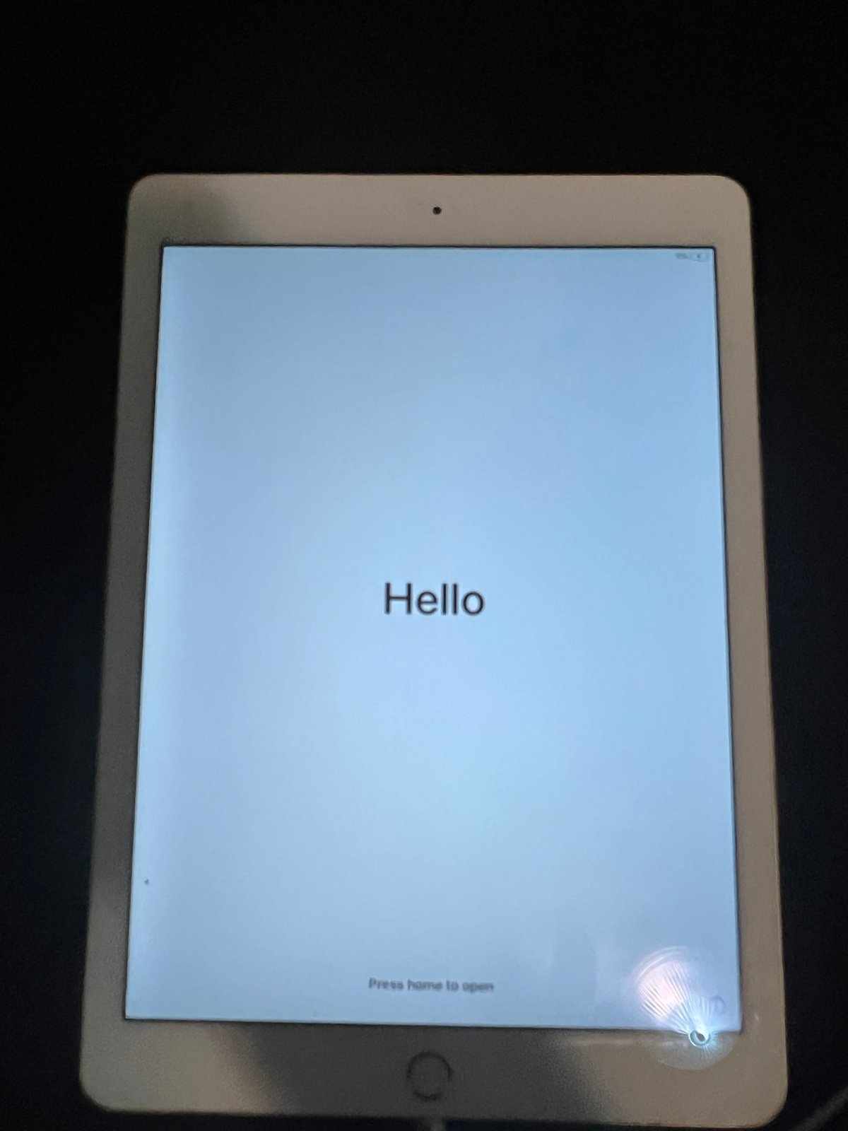 Apple iPad