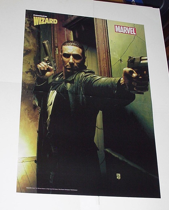 Punisher Poster # 8 At Home Tim Bradstreet Max Frank Castle Marvel Netflix MCU