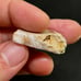 Starry White Spencer Idaho Opal Parcel With 360° Bright Bars
