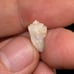 Starry White Spencer Idaho Opal Parcel With 360° Bright Bars