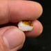 Starry White Spencer Idaho Opal Parcel With 360° Bright Bars