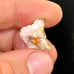 Starry White Spencer Idaho Opal Parcel With 360° Bright Bars