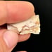 Starry White Spencer Idaho Opal Parcel With 360° Bright Bars