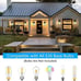 NEW Outdoor Lights Fixtures Wall Mount, Porch Light, Waterproof