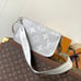 Louis Vuitton handbags
